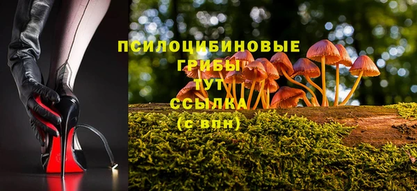 бутират Горнозаводск