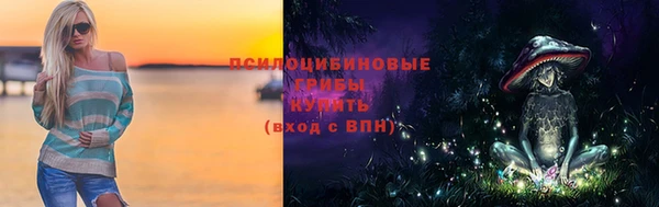 марки lsd Гусь-Хрустальный