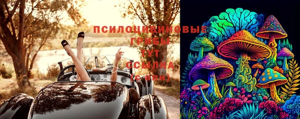 бутират Горнозаводск