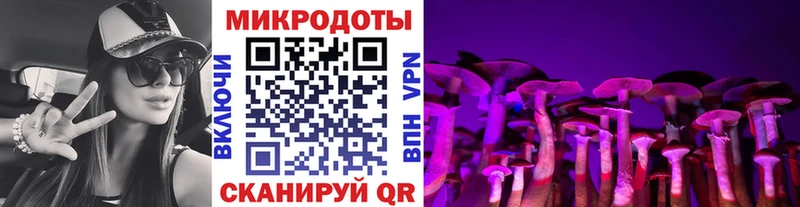 Галлюциногенные грибы Psilocybe  сколько стоит  Старый Оскол 